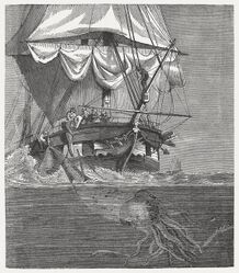 #18 (30/11/1861) A wood engraving of the Alecton encounter published in 1868, the squid clearly based on the one from the more famous image that had earlier appeared in Figuier (1866)
