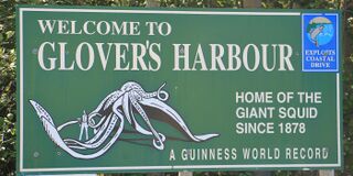 #45 (2/11/1878) Welcome sign from Glovers Harbour (formerly Thimble Tickle), Newfoundland, where the giant specimen of 1878 was found. It has long been regarded by Guinness World Records and its previous incarnations as the largest giant squid ever recorded.[315]