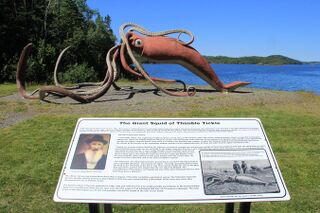 #45 (2/11/1878) Another view of the sculpture showing the accompanying information plaque (compare the giant squid illustration therein with this modified version). Part of the Giant Squid Interpretation Site, the sculpture is located close to the site of the original specimen's capture and has featured on a Canada Post stamp.[314]