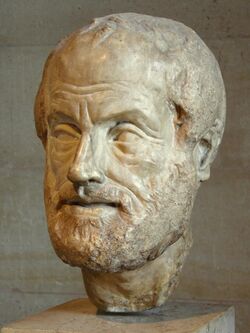 A stone sculpture of the head of a bearded man