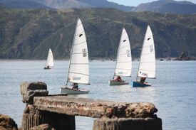 Zephyr yachts at Worser Bay Boating Club, Wellington NZ.jpg