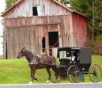 DSCN4624 holmescountyamishbuggy e.jpg