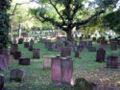 Cimetière juif (Heiliger Sand).