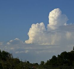 Cumulus congestus cloud.jpg