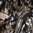 a haphazard aggregate of brownish crystals