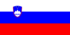 Flag of Slovenia.svg