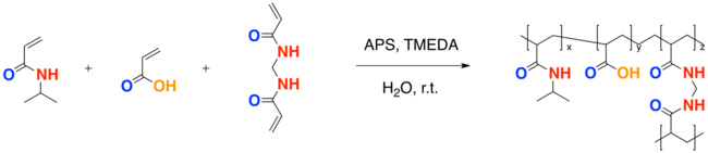 Crosslinked Hydrogel Polymerization of PNIPA