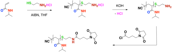 Functionalization CTA Scheme 3 of PNIPA