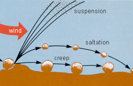 Saltation-mechanics.gif