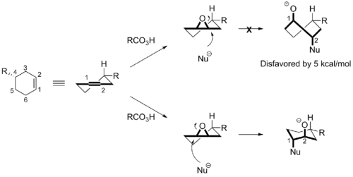 Furst plattner mechanism detail.png