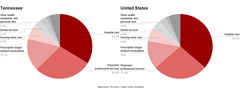 TN-US healthcare spending by service.png