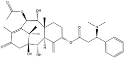 The molecular structure of Taxine B