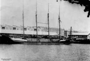 StateLibQld 1 133449 Ariel (ship).jpg