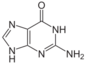 Chemical structure of guanine