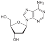 Chemical structure of deoxyadenosine
