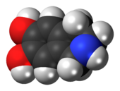 Space-filling model of the norsalsolinol molecule