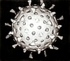 Rotavirus Reconstruction.jpg