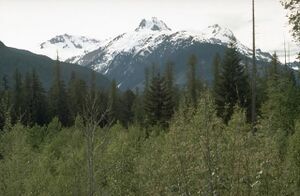 Mount Meager 1990.jpg