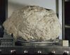 Lunar Sample 61016 - Big Muley.jpg