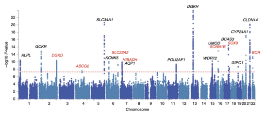 Manhattan plot of a GWAS