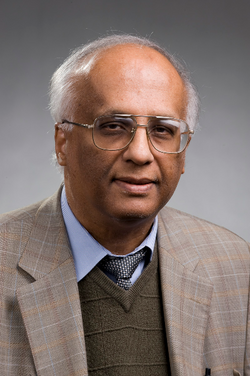 Rajendran Raja portrait 2009.png