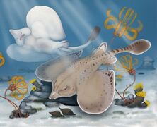Restoration of Strigilodus, a petalodont holocephalan from the upper Carboniferous of Kentucky.