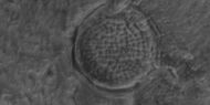 Low center polygons, as seen by HiRISE under HiWish program