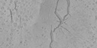 Pits and troughs, as seen by HiRISE under HiWish program Pits may have formed from water/ice leaving the ground.