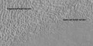Open and closed brain terrain with labels, as seen by HiRISE under HiWish program
