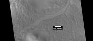 Channel with branches in Lyot Crater, as seen by HiRISE under HiWish program