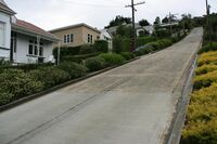 Baldwin Street in North East Valley is the world's steepest residential street