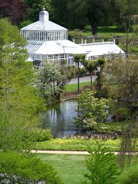 Botanic Gardens in Spring