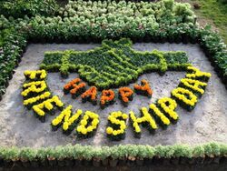 HAPPY FRIENDSHIP DAY.jpg