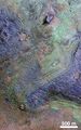 Nili Fossae on Mars - largest known carbonate deposit.