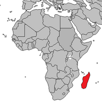 Location of Madagascar.png