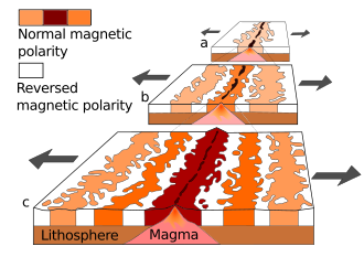 Graphic showing the seafloor spreading process.