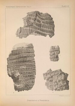 Reports of the Princeton University Expeditions to Patagonia, 1896-1899 (PLATE VII) (6859432828).jpg