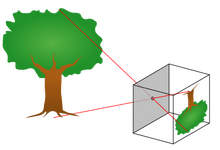 Principle of a pinhole camera. Light rays from an object pass through a small hole to form an image.