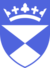 University of Dundee shield.png
